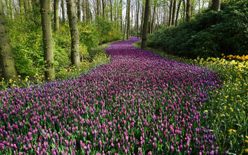 Spring Bucket List