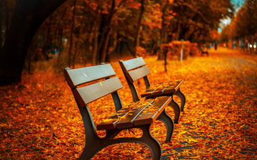 The Top 5 Fall Foliage Road Trips in the Northeast