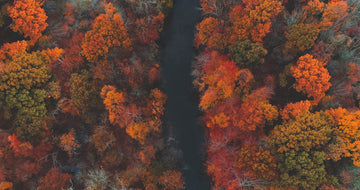 The 5 Best Places to View Fall Foliage in the Northeast