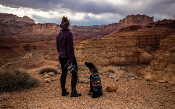 Things to Do Outdoors with Your Dog