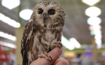 Our Biggest Event of the Year: Cast & Blast, Cabin Fever Day!