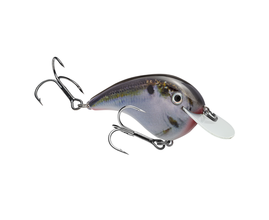 Strike King Chick Magnet Flatsided Crankbait - Baby Carp Color Fishing Lure