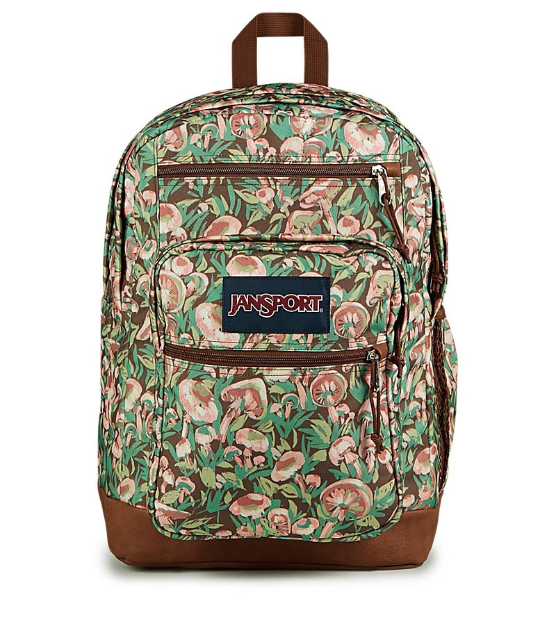 2017 colorful jansport backpack Cool Student Backpack