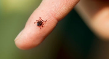 Protect Yourself Against Ticks-New Exciting Product