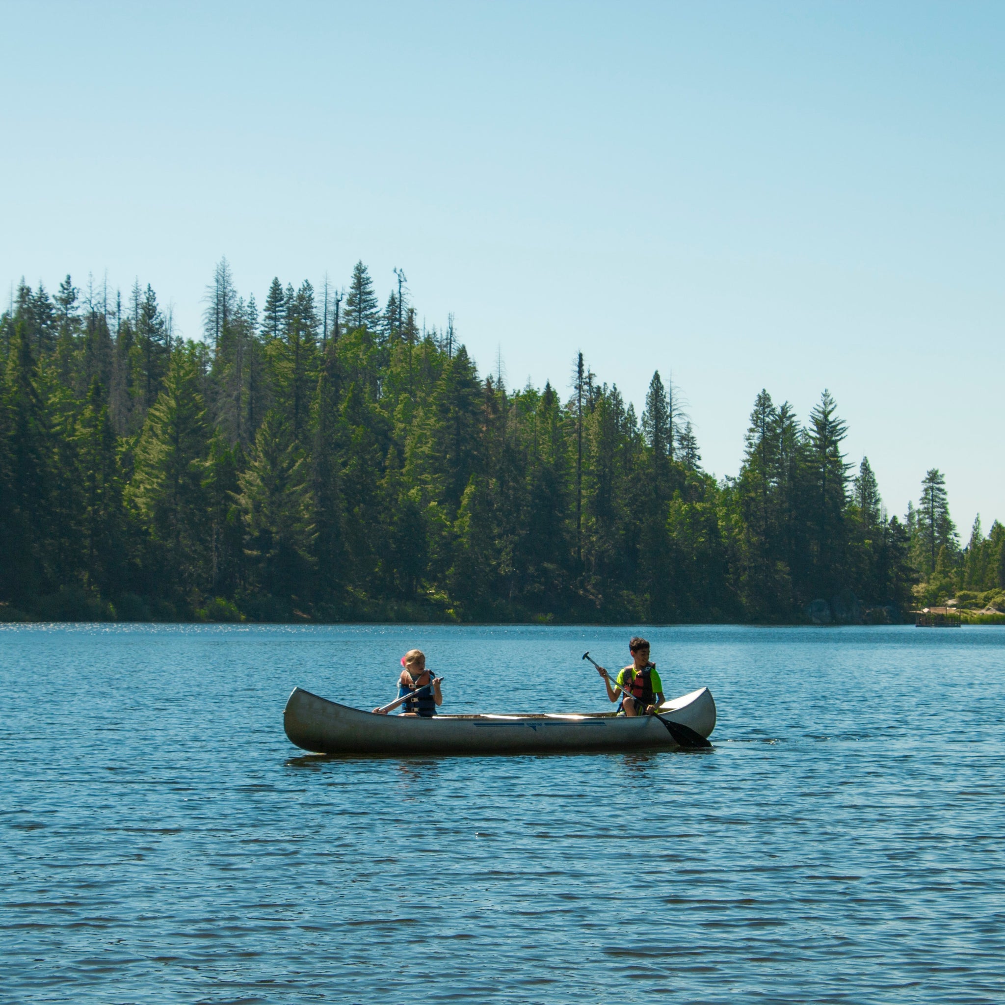 Paddle Days are Here