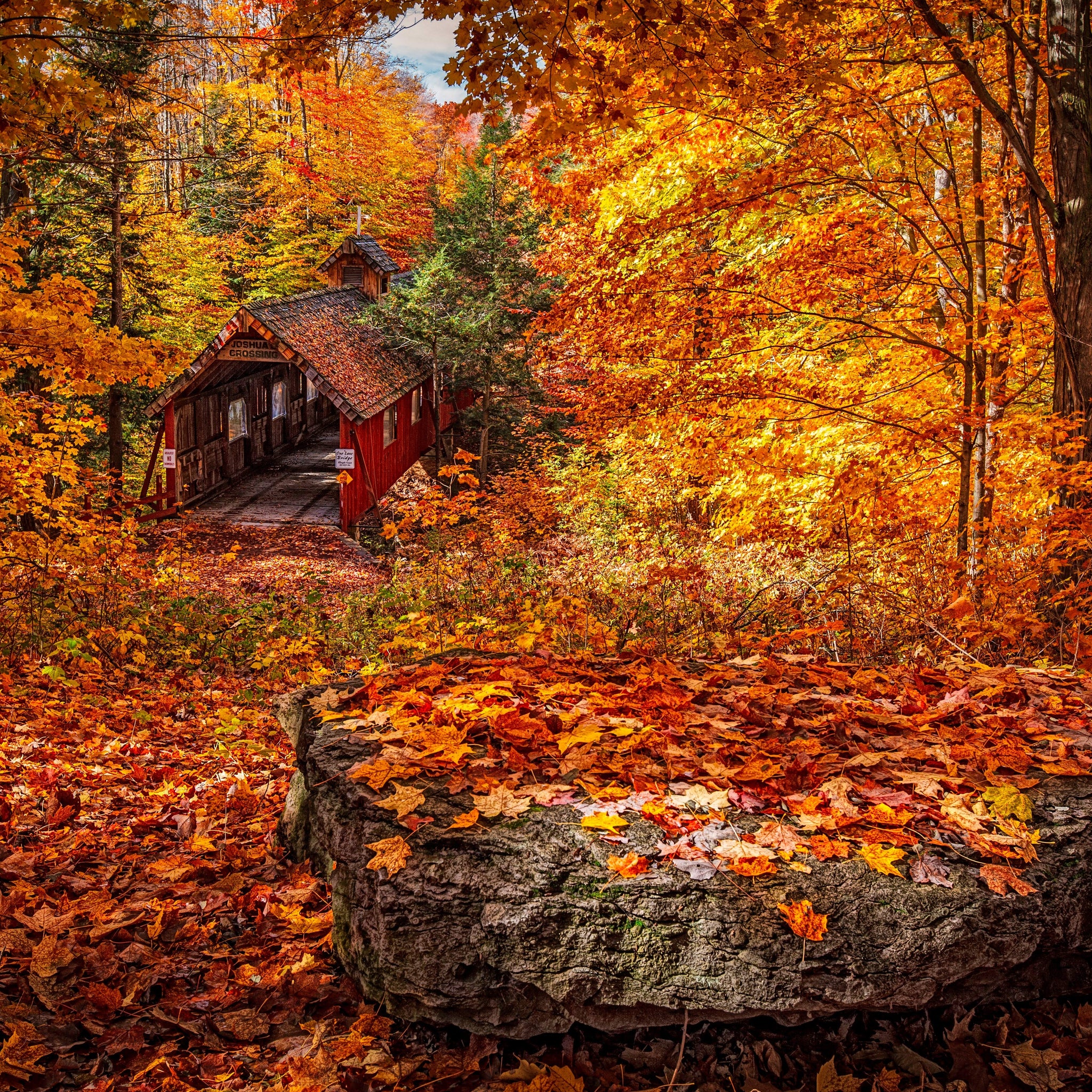 Fall Foliage In The Northeast