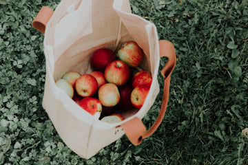 Fall Apple Picking in the Northeast