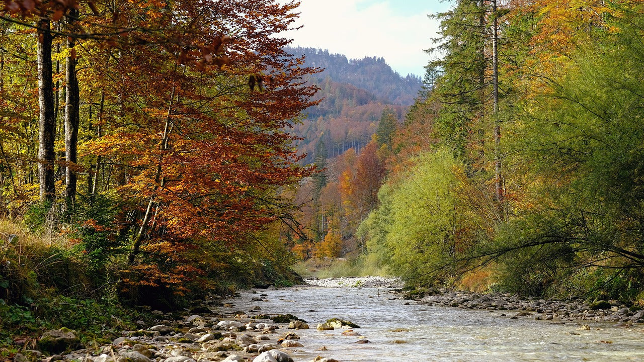 Fall Trout Fly Fishing Tips - Northeast