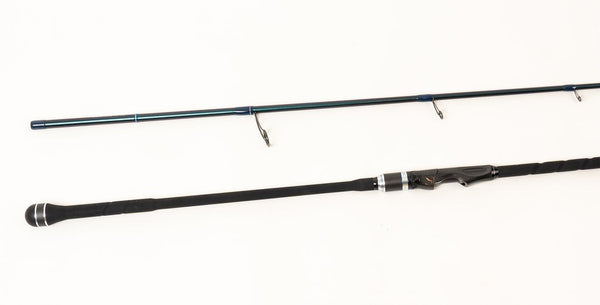 EVO_X_2pc_Surf_Rod_grande.jpg?