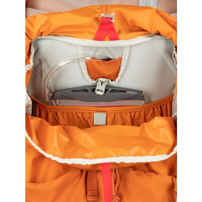 osprey ace 50 youth backpack Kids' ACE 50 Backpack