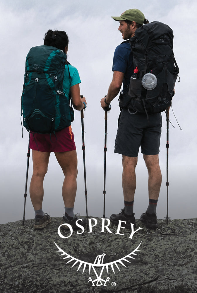 allintitle weekend hiking backpack Daylite Backpack