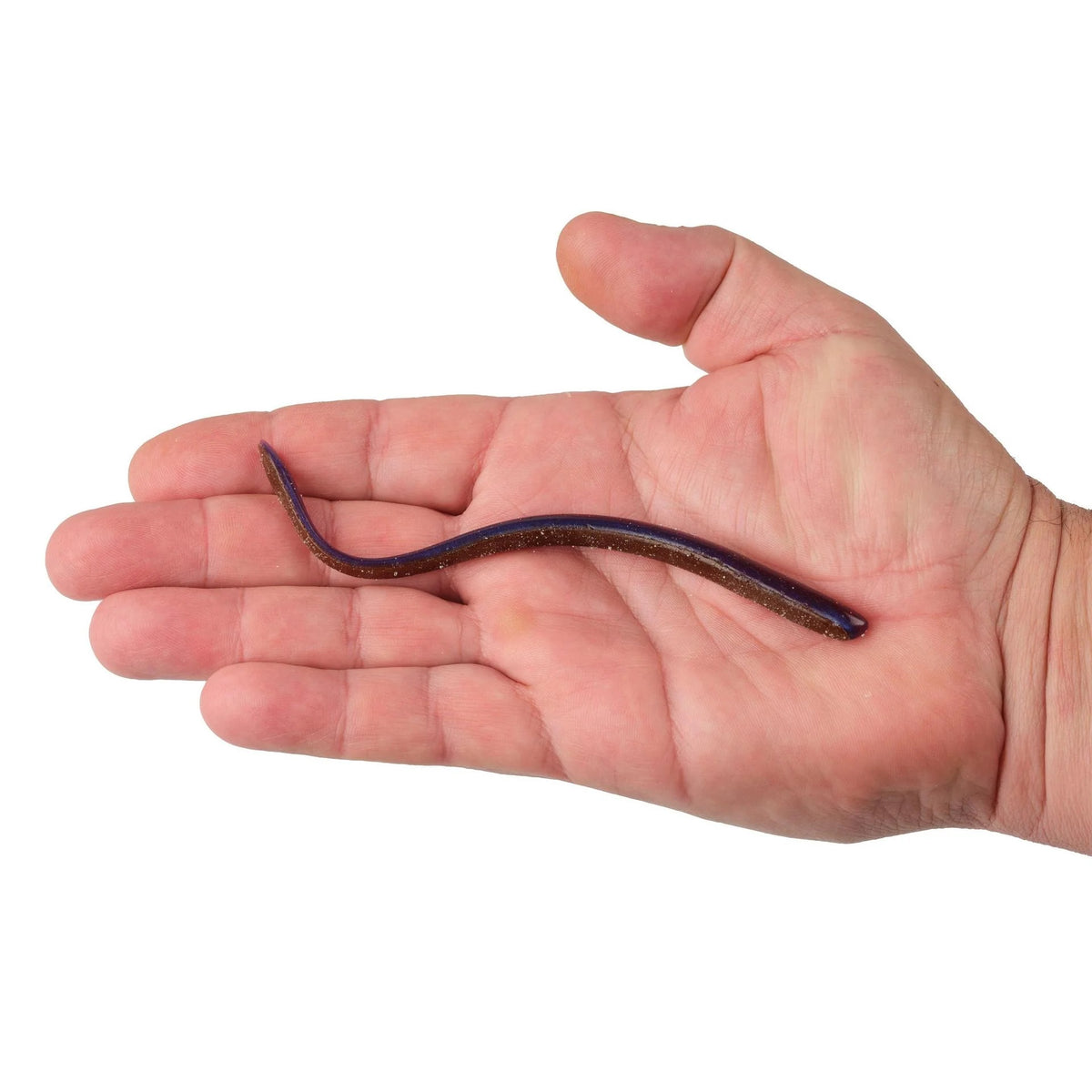 A 6 inch Berkley Lab Series Finesse Worm that is purple in a hand.