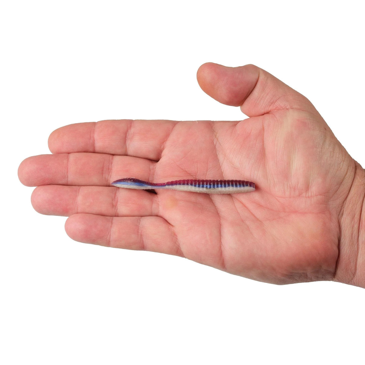 A hand holding a 3.6 inch Berkley Lab Series Flat Worm that is purple and white.