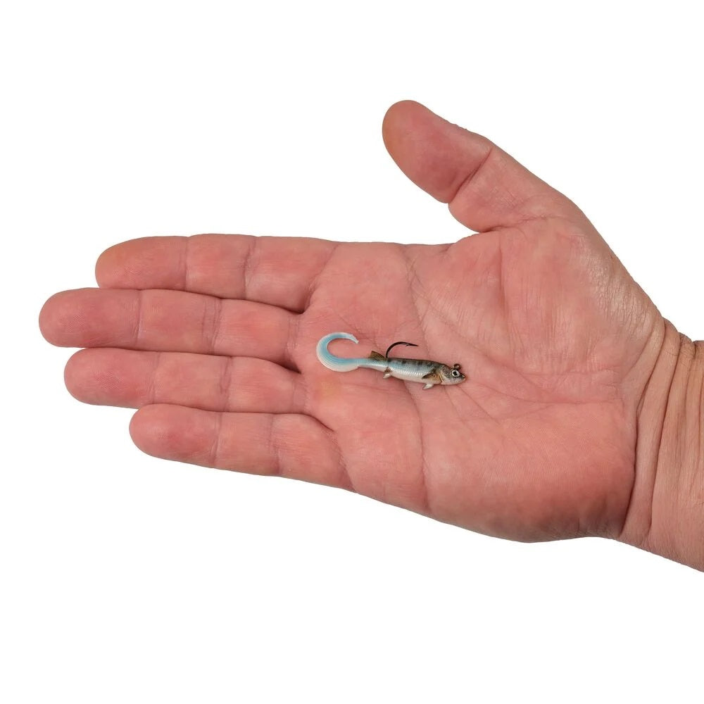 A hand holding a 2 inch Berkley PowerBait Minnotator Grub that is green with a blue and white belly.