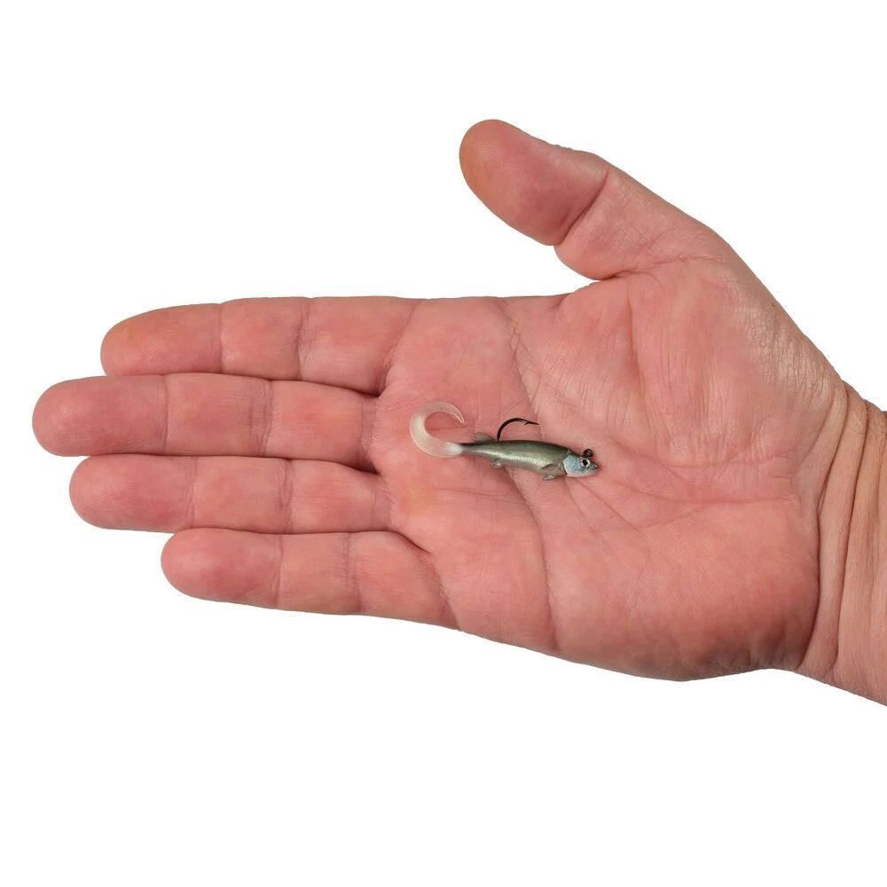 A hand holding a 2 inch Berkley PowerBait Minnotator Grub that is green with a white belly.
