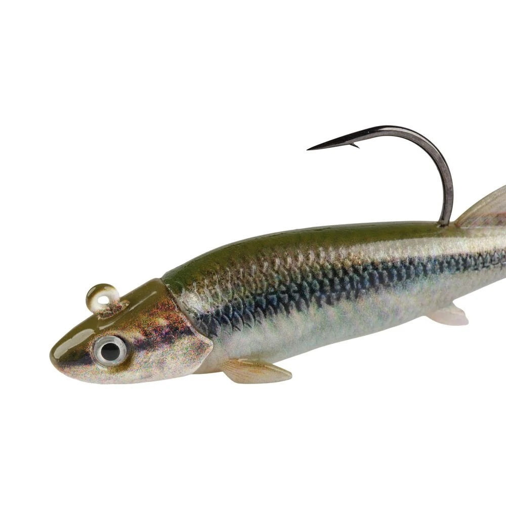 The front of a 2.5 inch Berkley PowerBait Minnotator Grub that is green and black with a white belly.