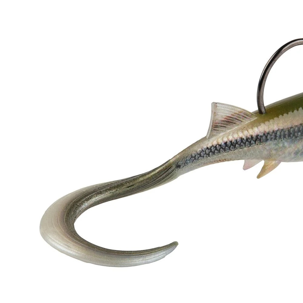 The tail of a 2.5 inch Berkley PowerBait Minnotator Grub that is green and black with a white belly.