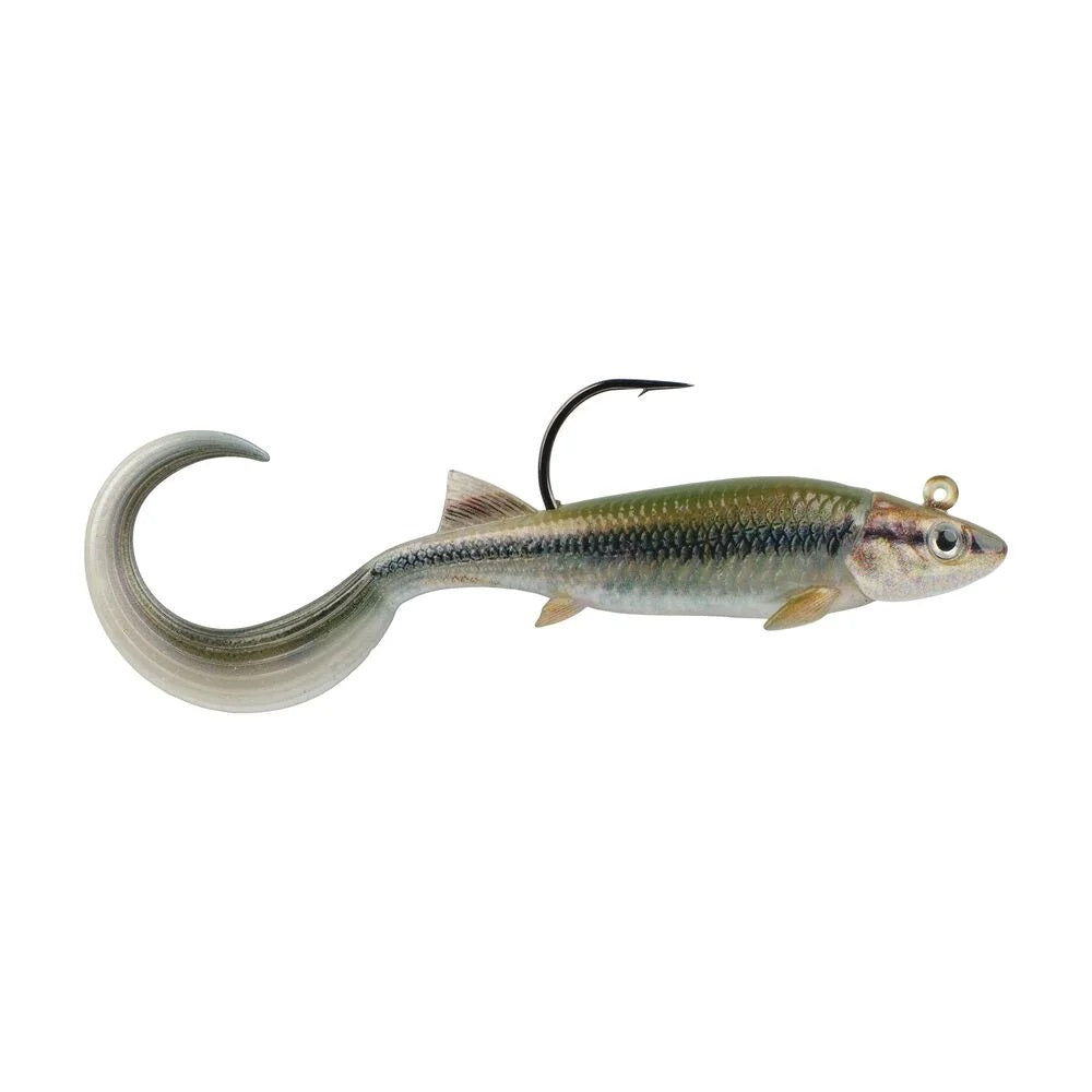 A 2.5 inch Berkley PowerBait Minnotator Grub that is green and black with a white belly.