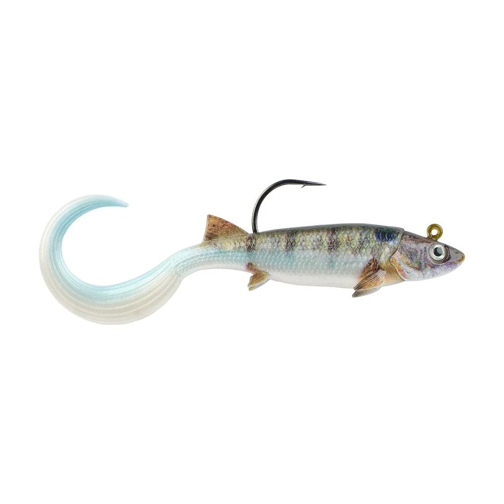 A 2.5 inch Berkley PowerBait Minnotator Grub that is green with a blue and white belly.