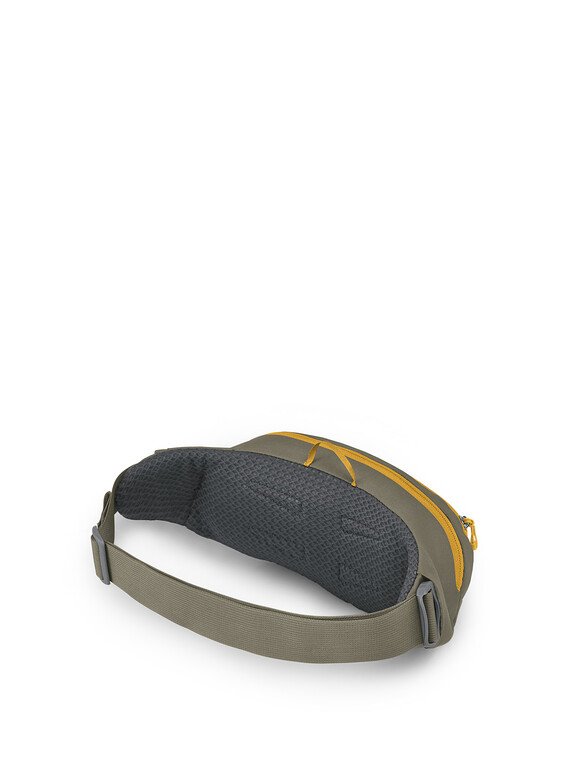 Daylite Waist