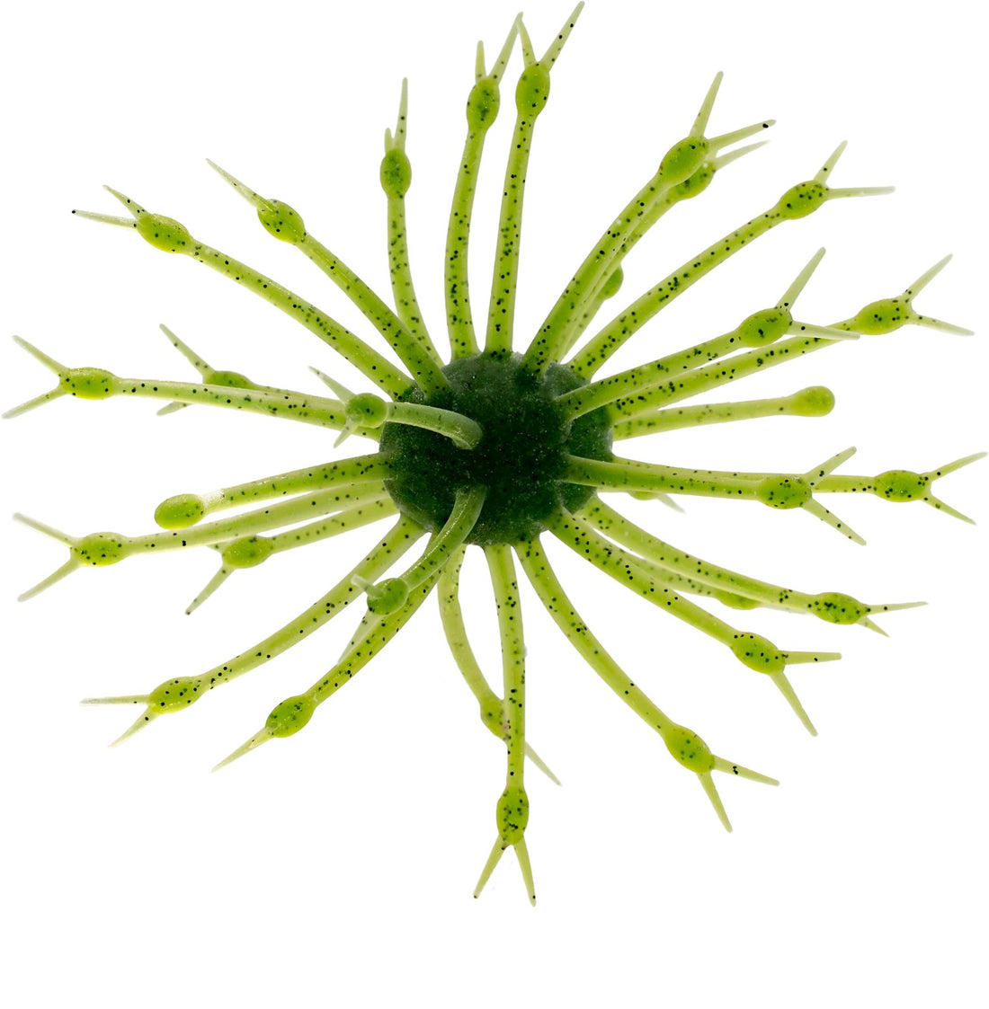 A G-Ratt Baits Pop-A-Web Urchin Bait that is green with black flakes.