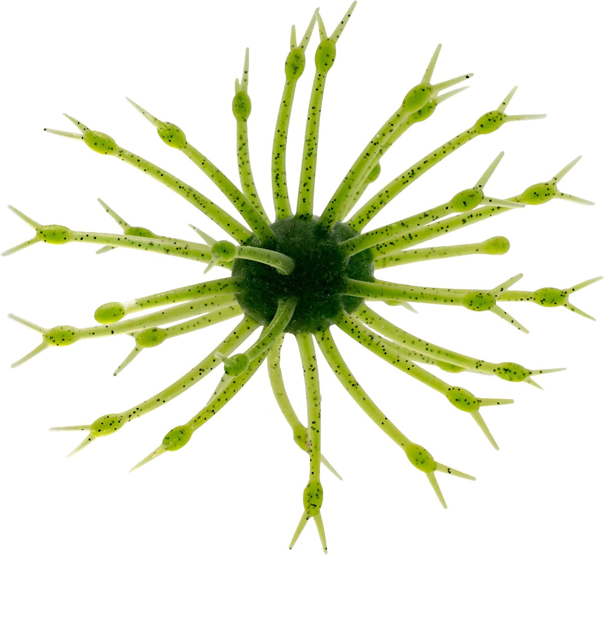 A G-Ratt Baits Pop-A-Web Urchin Bait that is green with black flakes.