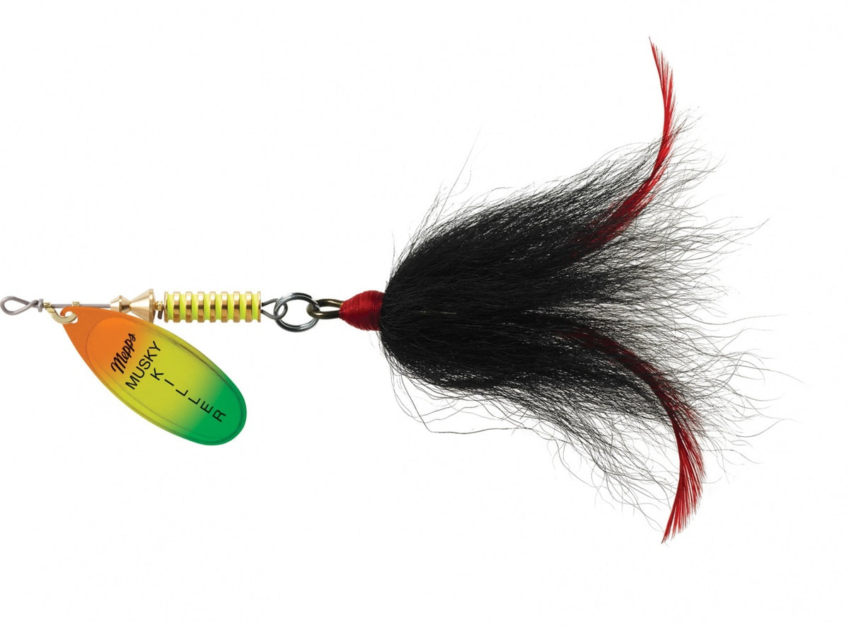 A 0.75 ounce Mepps Musky Killer Dressed Spinner that has a firetiger platinum blade and black tail.